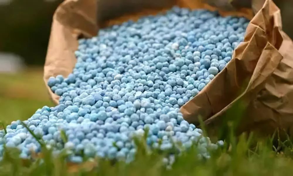 肥料施到地里多久才能见效? How Long Does It Take for Fertilizers to Show Effects?