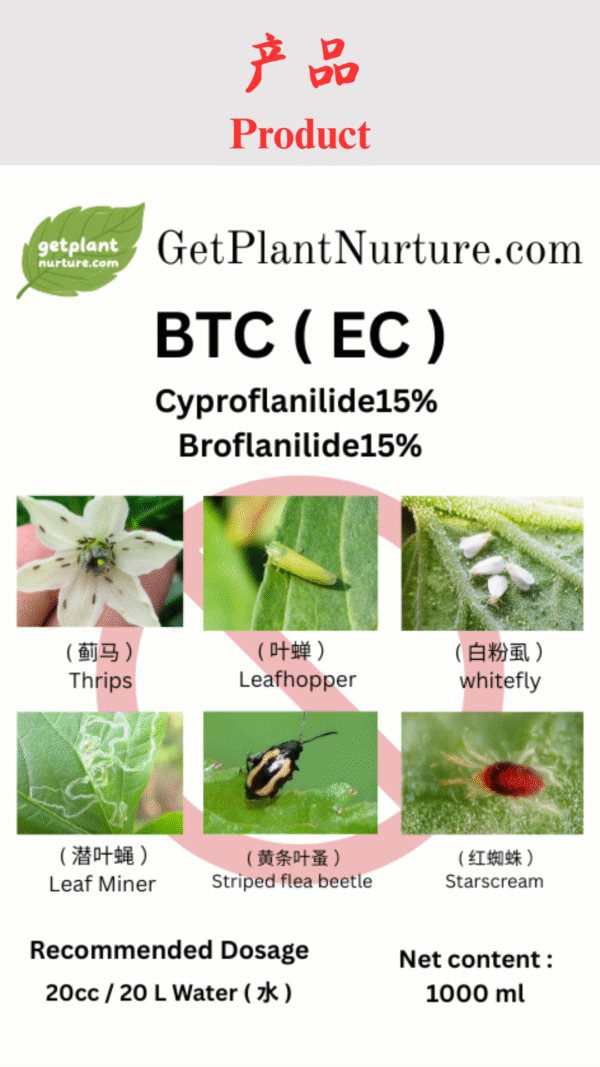 BTC ( EC ) 1L - Image 2