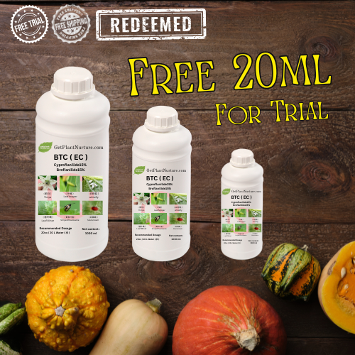 Free 20ml