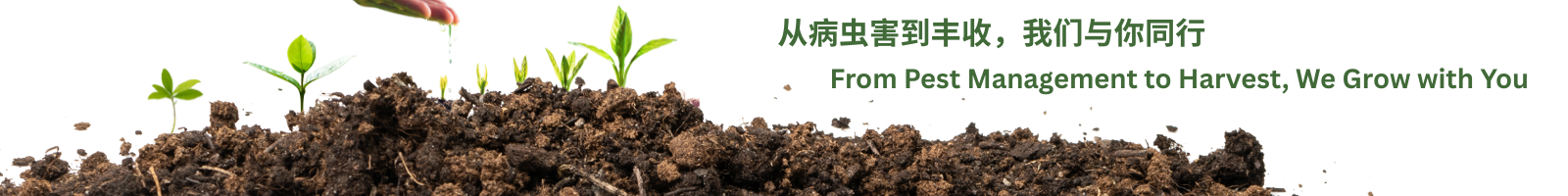 从病虫害到丰收，我们与你同行